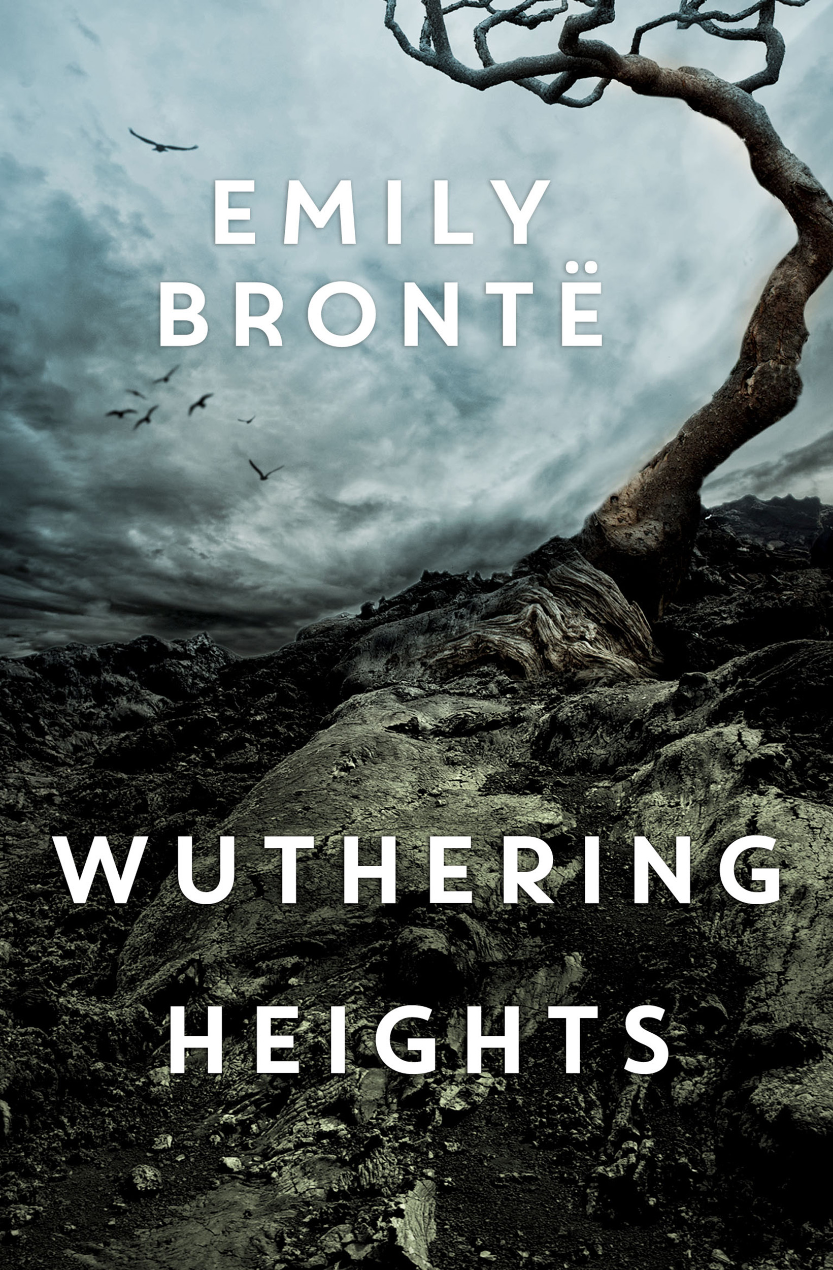 wuthering heights romantic novel by emily